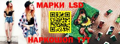 стаф Донецк