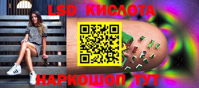 стаф Донецк