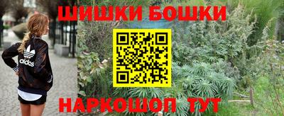 стаф Донецк