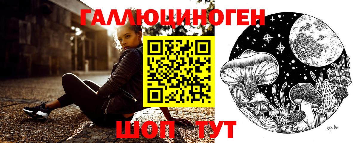 Губкин  Псилоцибиновые грибы ЛСД  Галлюциногенные грибы мухоморы  Вход с VPN 